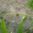 ���� ����, �������, 55 ��� - ��������� 16 ��� 2011 � ������ �� +�