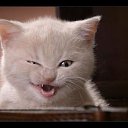  , -, 39  -  25  2010    