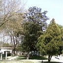 ���� ����������, ����, 75 ��� - ��������� 17 ������ 2012 � ������ �����-5�