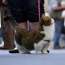 ���� ����, ������, 35 ��� - ��������� 12 ������ 2012 � ������ �������