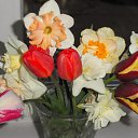 �������� ����� �� ������� �������