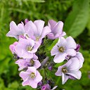 ���� �������, ��������� - ��������� 18 ������� 2012 � ������ ����� ��������