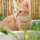 � -��������? �� ������� ���� �������� � ������ �����...�