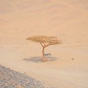 ���� ������, ������ - ��������� 20 ���� 2012 � ������ �������