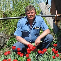 ���� Alatau, ������, 64 ���� - ��������� 22 ������ 2011