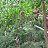 ���� Natalya, �����������, 59 ��� - ��������� 25 ��� 2012