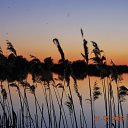 ���� ����, ��������, 45 ��� - ��������� 24 ������� 2012 � ������ ���� ����������