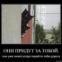 ���� �����, ���������, 51 ��� - ��������� 23 ���� 2011 � ������ ���� ����������