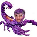  , -, 59  -  18  2013