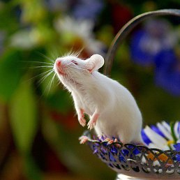 ���� ������� ������, �������, 56 ��� - ��������� 2 ���� 2013