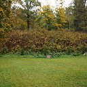 ���� Tatyana, ������, 55 ��� - ��������� 24 �������� 2012 � ������ �������