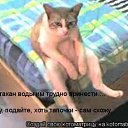 ���� �����, �����������, 41 ��� - ��������� 12 ������� 2010 � ������ �������� ���������!�