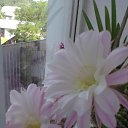 ���� �������, �����-��������� - ��������� 24 ��� 2013 � ������ ���� ����������