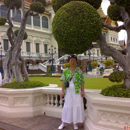 ���������, ���������, 64 ����