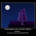 ���� �����, ��������, 43 ���� - ��������� 4 ���� 2011