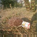 ���� Maverik_1, �������, 64 ���� - ��������� 23 ����� 2011 � ������ ���� ������...)))�