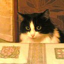 ���� �����, ������ - ��������� 22 �������� 2011 � ������ �������