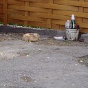 ���� �����, ������������ - ��������� 23 �������� 2012 � ������ ����������