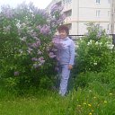 ���� ��������, ����������� - ��������� 9 ������� 2012 � ������ �������