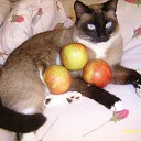 ��������� :) �� ������� ����� ��� ������������