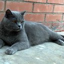 ���� Serega, ��������� - ��������� 25 ������� 2010 � ������ ������