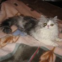 ���� �������, ������, 59 ��� - ��������� 14 ������� 2009 � ������ ���� ������� ��� ����