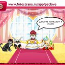 ���� ����, ������, 34 ���� - ��������� 7 ������� 2010 � ������ �PetLove�