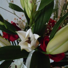 ���� ���� ��������, ������ - ��������� 25 ����� 2012