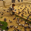  D.s., , 38  -  8  2012    2012,   / 