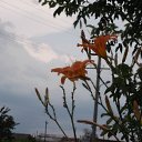 ���� �������, �������, 44 ���� - ��������� 6 ���� 2012 � ������ ��������� ����� ����.�