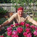 ���� ����, ������, 59 ��� - ��������� 11 ������� 2013 � ������ ���� ����������