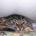 ����� �������� ����� �� ������ ���������! �� ������� ���� ������� �����