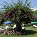 ���� ��������, ����������, 62 ���� - ��������� 20 �������� 2010 � ������ �������