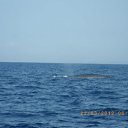 ������ �������� ���� �� ������� ����-�����