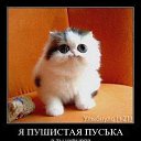 ���� ��������, �����, 44 ���� - ��������� 17 ������� 2012 � ������ �������