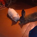 ���� ����, ������, 52 ���� - ��������� 23 ���� 2012 � ������ �������