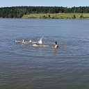 ���� ���, �����, 48 ��� - ��������� 25 �������� 2010