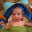 ���� �������, ���������, 43 ���� - ��������� 9 ���� 2013 � ������ ���� ����������