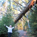 ���� Ludmila, ����, 66 ��� - ��������� 21 ������� 2012 � ������ ���������