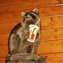 ���� �����-��, ����, 45 ��� - ��������� 20 ������ 2010 � ������ ���� ����� ��, ����� !�