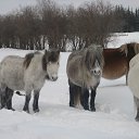 ���� �������� ������. �����. �� ������� ���� ����������