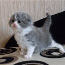 ���� ������, ������, 55 ��� - ��������� 18 �������� 2010