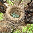 ���� ���, ������, 51 ��� - ��������� 6 ��� 2010