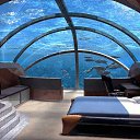 ���� ���, ��������, 46 ��� - ��������� 10 ���� 2011