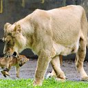 ���� ����� - ���������� ��������!!!, �����������, 56 ��� - ��������� 14 ���� 2010 � ������ �� ����� �������� � ... �� ������