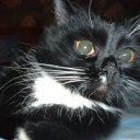 ���� ���������, ������, 52 ���� - ��������� 23 ��� 2012 � ������ �������