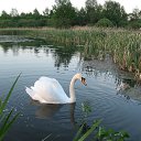 ���� �������, �����, 51 ��� - ��������� 22 ����� 2012 � ������ ���� ����������