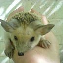 ���� ����. ��������� �� ��!, ������, 72 ���� - ��������� 30 ���� 2011 � ������ ������