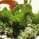 ���� � ������� �� ������� ������ ������� ����, ������� - ��������� 23 ������ 2011 � ������ �������-2�