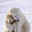 ���� �����, �����-���������, 52 ���� - ��������� 18 ������� 2012 � ������ �������